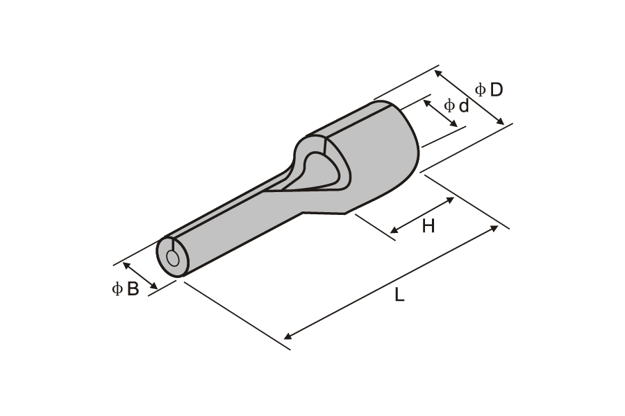 Terminal PIN no aislado